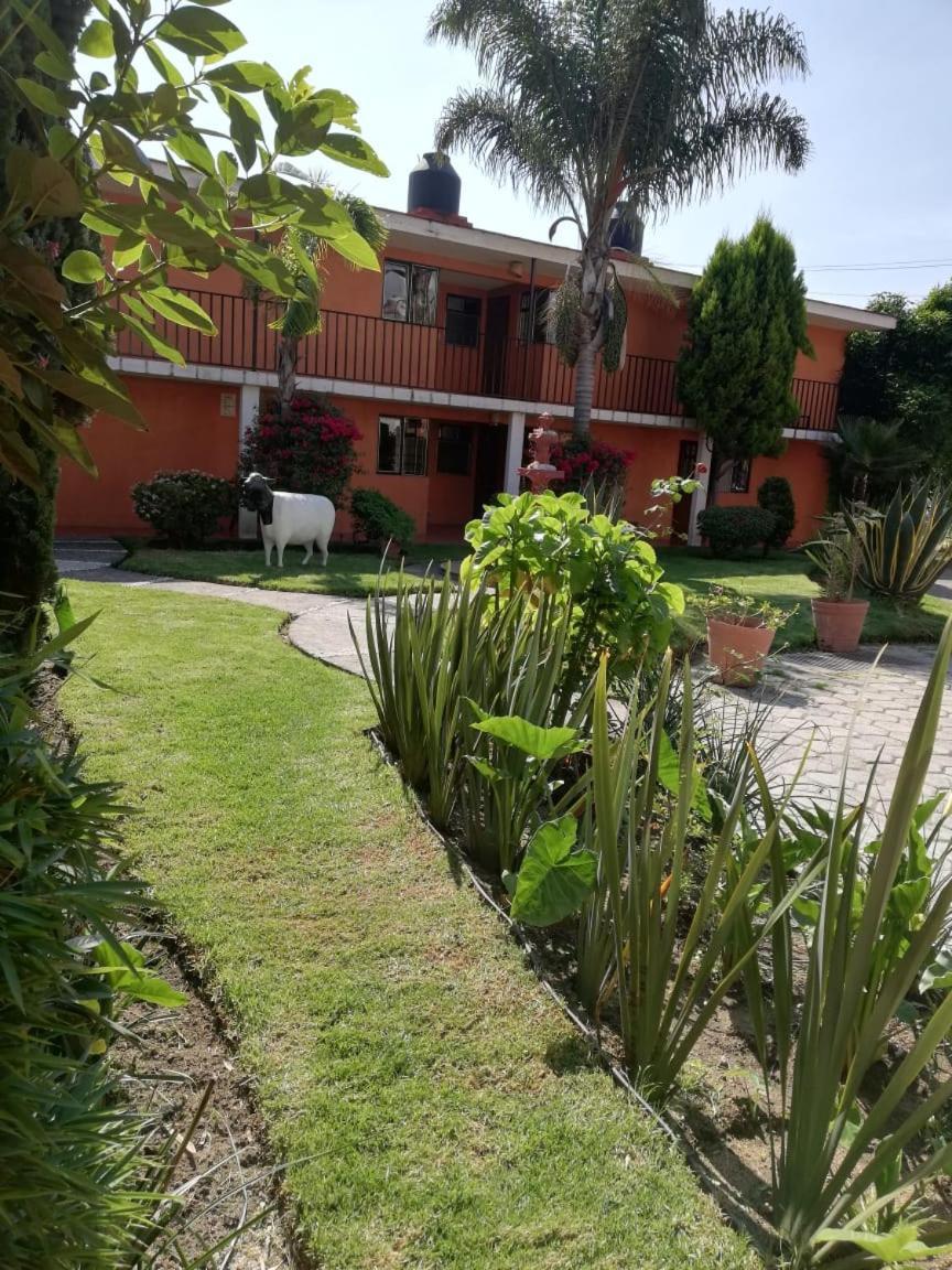 Villas Hotel 乔卢拉 外观 照片